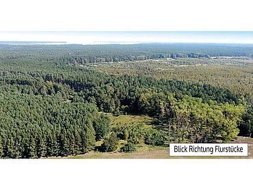 N26-02-041: 
							17375 Ahlbeck