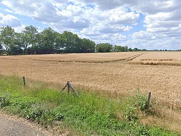 I26-20-018: 
		15328 Zechin, Neuhardenberg, Quappendorf