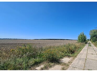 D26-03-054: abgehend von der Straße Im Solarpark
							16356 Werneuchen