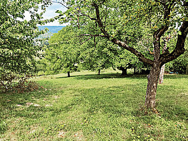 D26-03-024: in Verlängerung der Straße Fichtenweg
							73650 Winterbach (Remstal)
