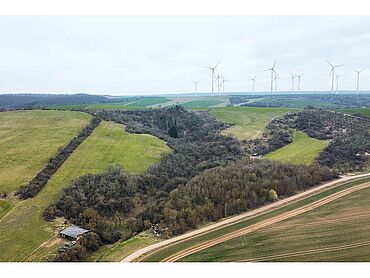 S26-04-090: nahe Hahnstraße, Flurstück 22/6
		99765 Heringen/Helme