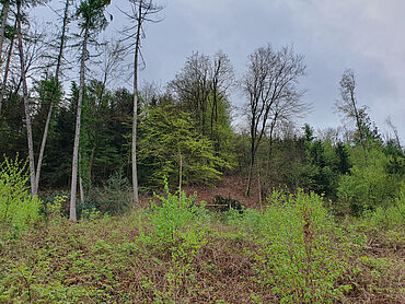 I26-18-016: Nahe Am Sonnenberg
		51647 Gummersbach