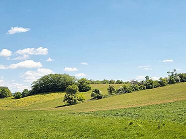 W26-03-012: Nahe Bachstraße, Flur 15, Flurstück 521/320 
		66663 Merzig