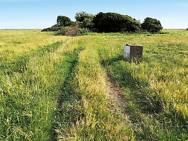 D26-01-017: Gungwai
							25980 Sylt