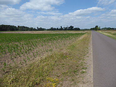 D26-03-036: Pietzpuhler Weg (Südseite)
							39291 Möser