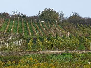 I26-22-011: 
		56856 Zell (Mosel)
