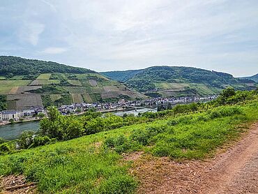 W26-02-020: B53, Flur 20, Flurstück 159
							56856 Zell (Mosel)