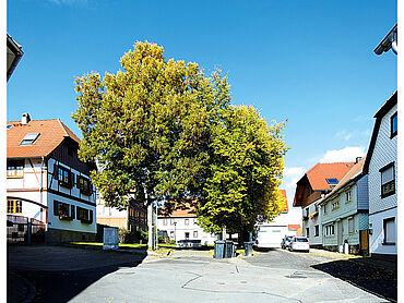 D26-03-030: An den Linden 9
							99331 Geratal