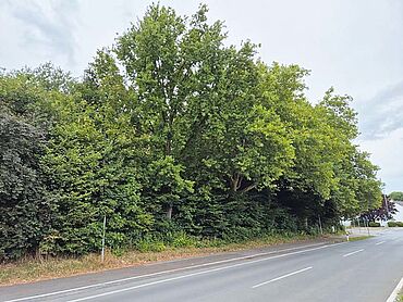 W26-03-010: Arnsberger Str./Wisbyring, Flur 35, Flurstück 347
		59494  Soest