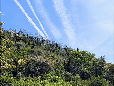 I26-18-018: Weg zum Ehrenmal
		56112 Lahnstein