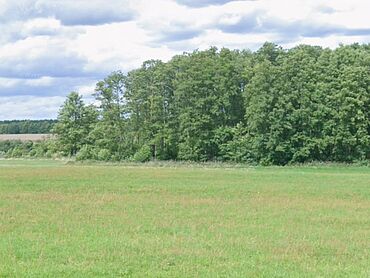 I26-17-010: Nahe der K6809
		16818 Märkisch Linden