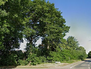 I26-17-021: Lüneburger Straße 
		21423  Winsen (Luhe)