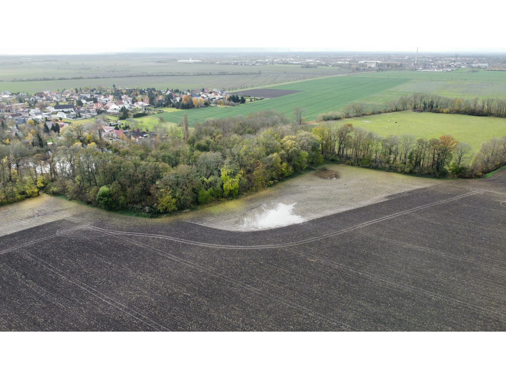 Grundstück in Köthen (Anhalt) , Foto 1