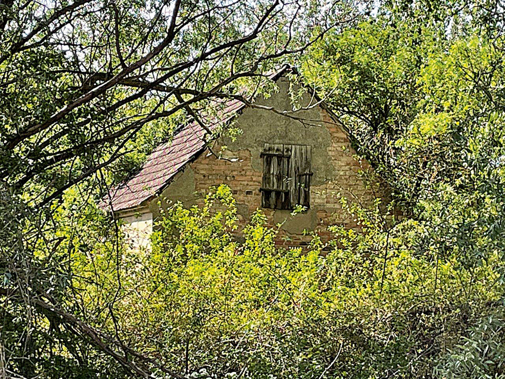 Grundstück in Niedergörsdorf, Foto 2