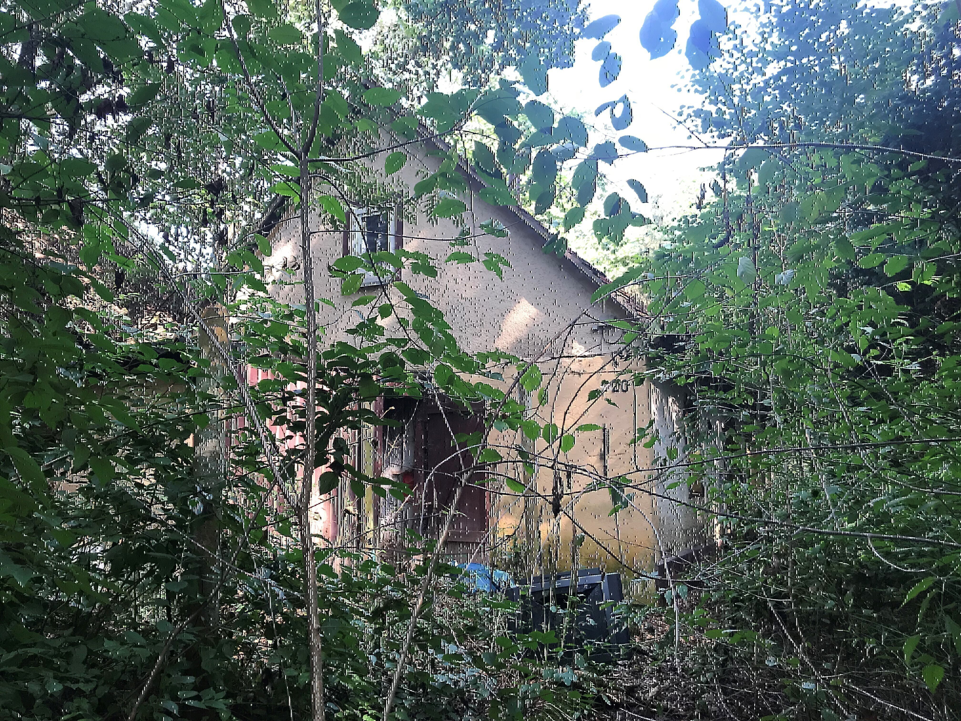Einfamilienhaus in Berga/Elster, Foto 1