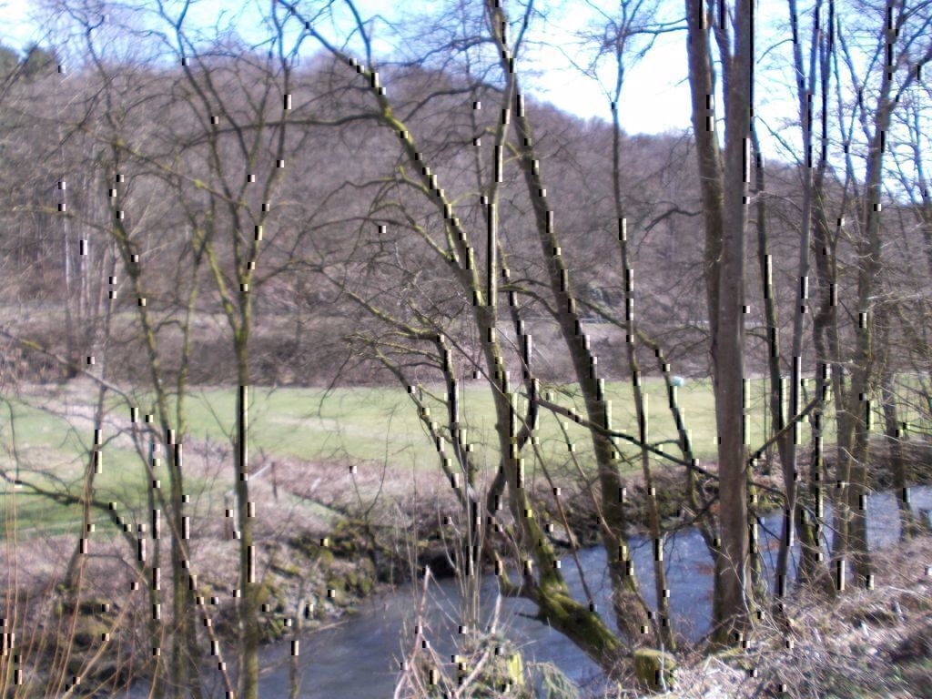 GRD/BG in Weilburg