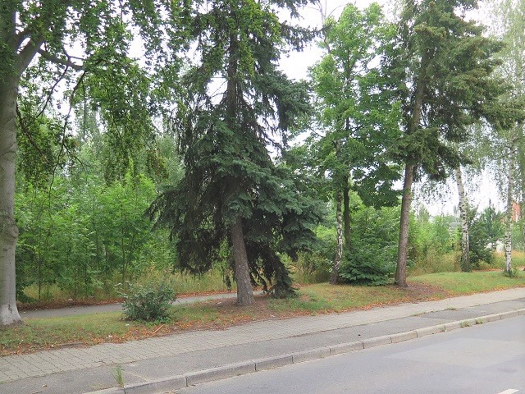 Grundstück in Zittau, Foto 2
