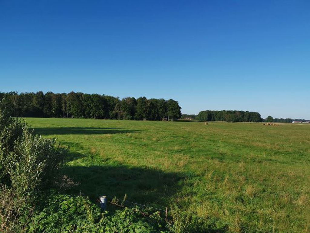 Grundstück in Wittichenau, Foto 1