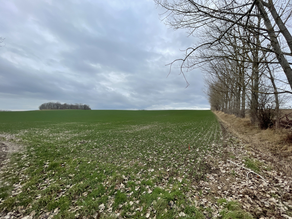 Grundstück in Osterfeld, Foto 1