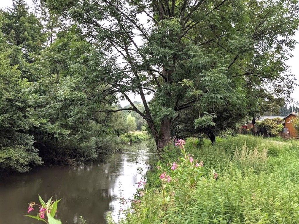 Grundstück in Neustadt (Wied), Foto 2