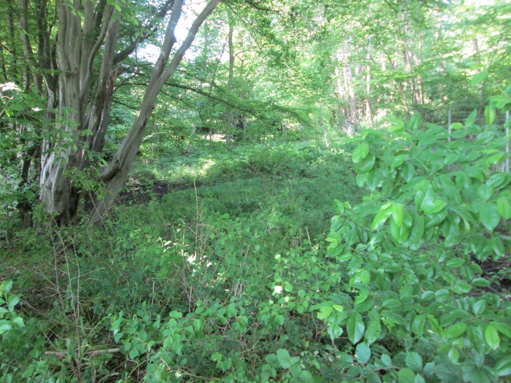Grundstück in Osterholz-Scharmbeck, Foto 1