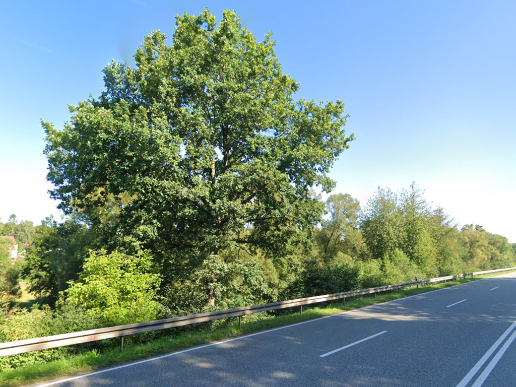 Grundstück in St. Wendel, Foto 2