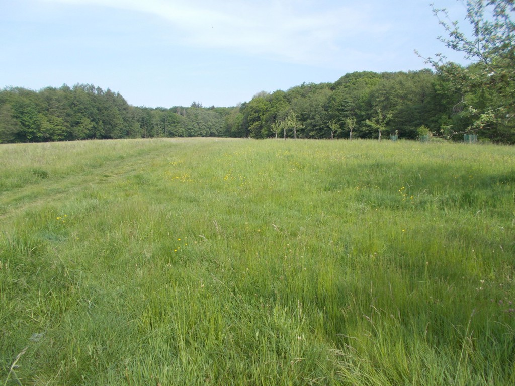 GRD/BG in Mengerskirchen
