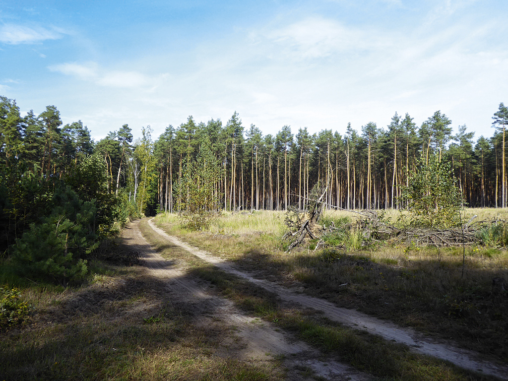 Grundstück in Loitsche, Foto 2