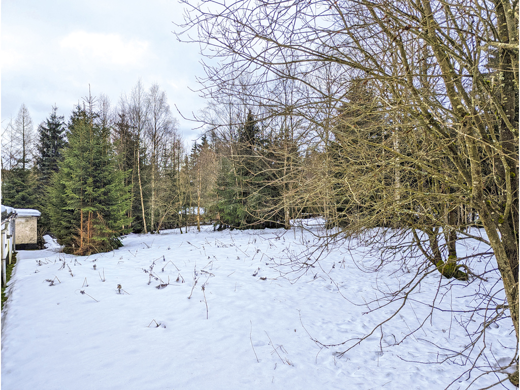 Grundstück in Johanngeorgenstadt, Foto 2